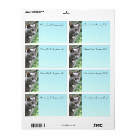 Kitty Cat in Grau (Vorne)