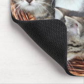 Kitty Cat Kätzchen in einem Korb Maus Pad Mousepad (Ecke)