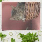 Kitty Cat Küchentuch (Gefaltet)