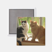 Kitty Cat Liebe Magnet (Vorderseite/Rückseite)
