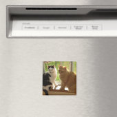Kitty Cat Liebe Magnet (In Situ (Geschirrspüler))