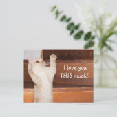 Kitty Cat Liebe Postkarte (Stehend Vorderseite)