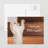 Kitty Cat Liebe Postkarte (Vorne/Hinten)