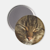Kitty Cat Magnet (Vorderseite/Rückseite)