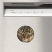 Kitty Cat Magnet (In Situ (Geschirrspüler))