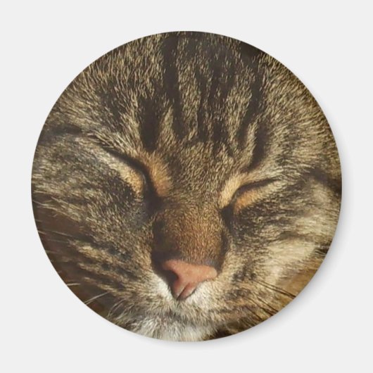 Kitty Cat Magnet (Vorne)