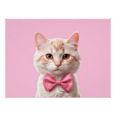 Kitty Cat - männlich orizzontal Poster (Vorderseite)