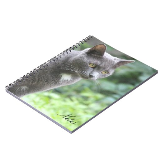 Kitty Cat Notebook Notizblock (Linke Seite)