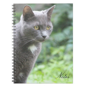Kitty Cat Notebook Notizblock