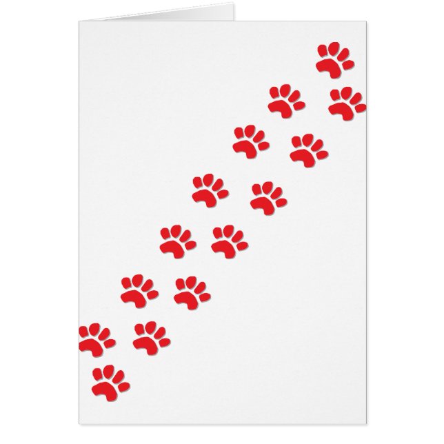 Kitty Cat Paws (Vorne)