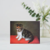 Kitty Cat Postcard: Kitten von George Stubbs Postkarte (Stehend Vorderseite)