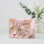 Kitty Cat Postkarte (Stehend Vorderseite)