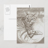 Kitty Cat Postkarte (Vorne/Hinten)