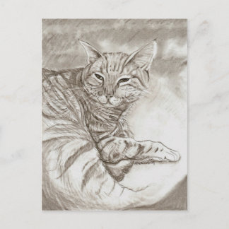 Kitty Cat Postkarte