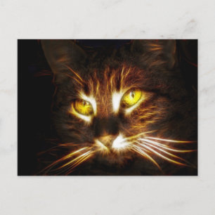 Kitty Cat Postkarte