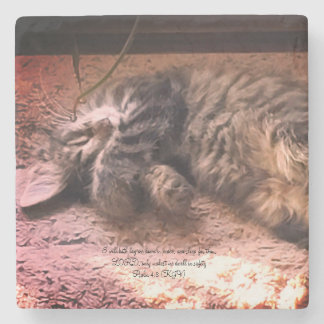 Kitty Cat Psalm 4:8 Steinuntersetzer