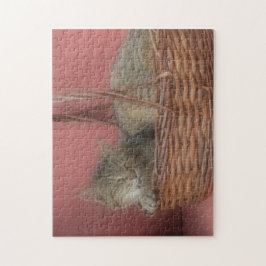 Kitty Cat Puzzle