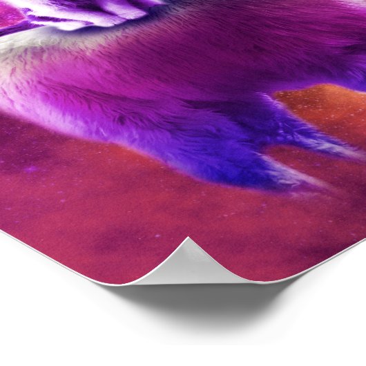 Kitty Cat Riding auf Rainbow Llama im Weltraum Poster (Ecke)