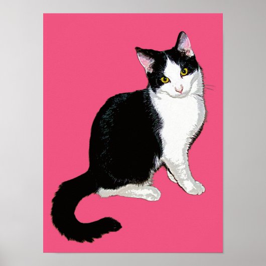 Kitty Cat, Schwarz und Weiß auf Hot Pink Poster (Vorne)