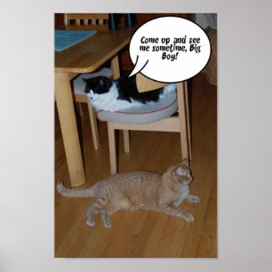 Kitty Cat Spaß Poster