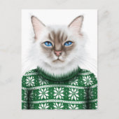 Kitty Cat Sweater Postkarte (Vorderseite)