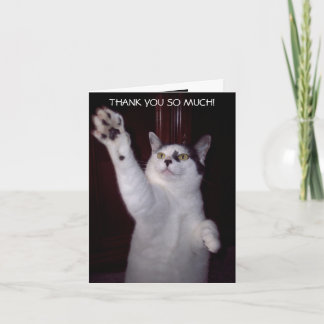 KITTY CAT THANK YOU CARD DANKESKARTE