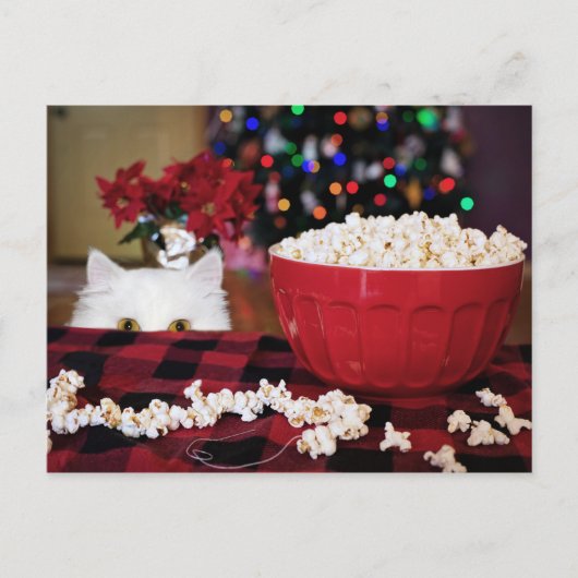 Kitty Cat Weihnachtsverlockung Postkarte (Vorderseite)