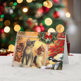 Kitty Cats Bird schauen frohe Weihnachten Niedlich