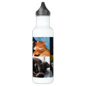 KITTY CATS juckende Edelstahlflasche (Links)