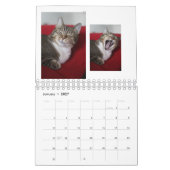 Kitty Cats Kalender (Jan 2027)