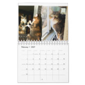 Kitty Cats Kalender (Feb 2027)