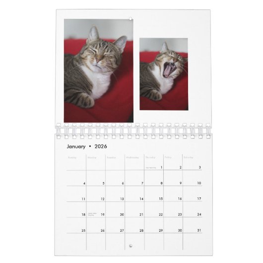 Kitty Cats Kalender (Jan 2026)