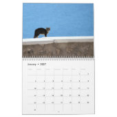 Kitty Cats of Greece Calendar Kalender (Jan 2027)