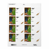 Kitty Cats Weihnachtsmarke (Vorne)