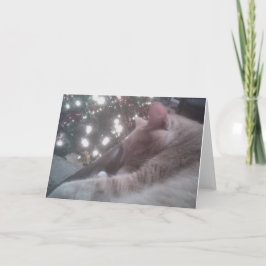 Kitty Christmas Card Feiertagskarte