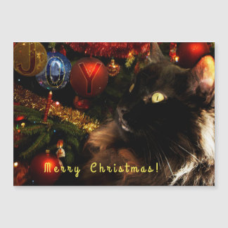 Kitty Christmas Greetings Magnetkarte
