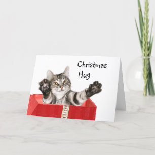 Kitty Christmas hug Feiertagskarte