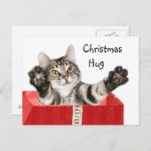 Kitty Christmas hug Feiertagspostkarte (Vorne/Hinten)