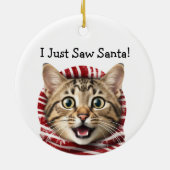Kitty Christmas Spaß Cat Ornament (Hinten)