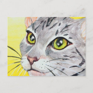 Kitty Closeup Postcard Postkarte