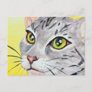 Kitty Closeup Postcard Postkarte