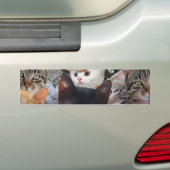 Kitty Collage Autoaufkleber (Auf Auto)