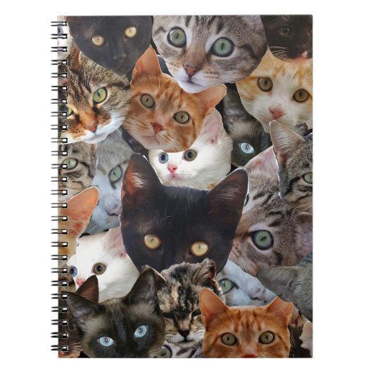 Kitty Collage Notizblock (Vorderseite)