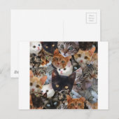 Kitty Collage Postkarte (Vorne/Hinten)