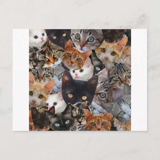 Kitty Collage Postkarte (Vorderseite)