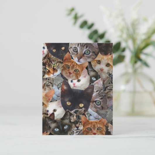 Kitty Collage Postkarte (Stehend Vorderseite)