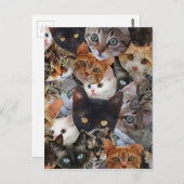 Kitty Collage Postkarte (Vorne/Hinten)