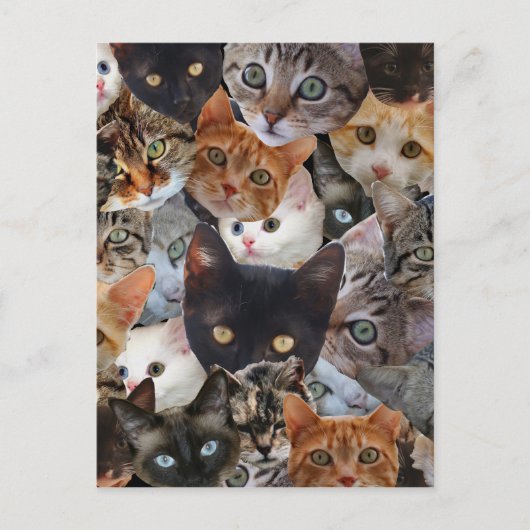 Kitty Collage Postkarte (Vorderseite)