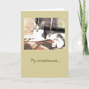 Kitty Condolences Karte