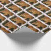 Kitty "Cuddle Monster" Packpapier (Ecke)